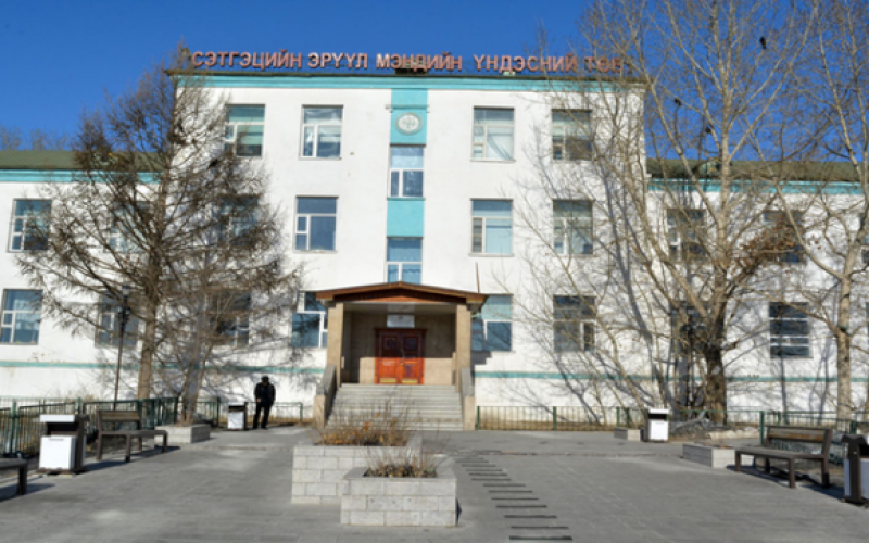 Алсын хараа - эрхэм зорилго, зорилт